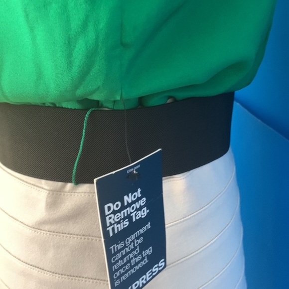 COPY - EXPRESS NEW Fitted Dress - Picture 6 of 14